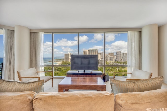 living room featuring expansive windows and plenty of natural light