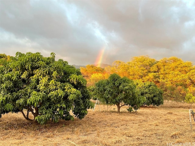 view of local wilderness featuring a rural view