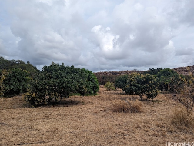 view of nature featuring a rural view