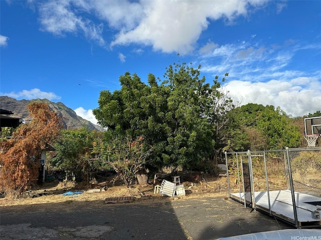 view of yard featuring a mountain view