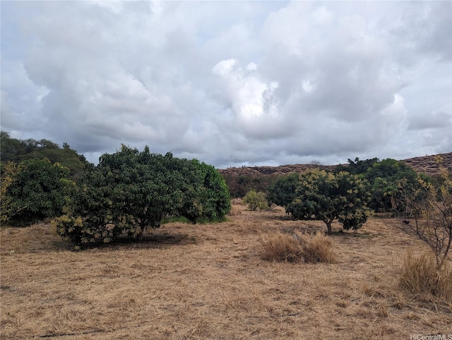 view of local wilderness featuring a rural view