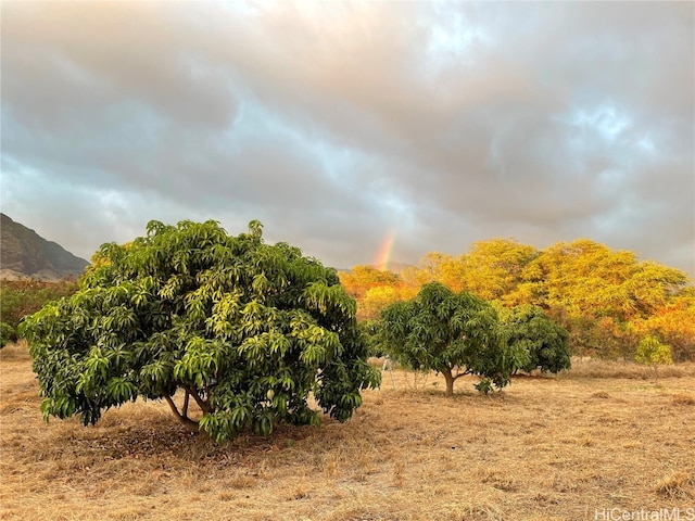 view of local wilderness featuring a rural view