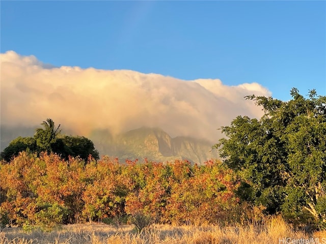 property view of mountains