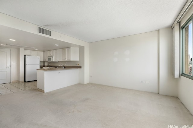 unfurnished living room with a textured ceiling, light colored carpet, and a wealth of natural light