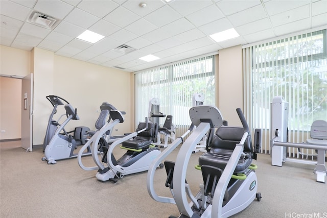 exercise room with a paneled ceiling and light colored carpet