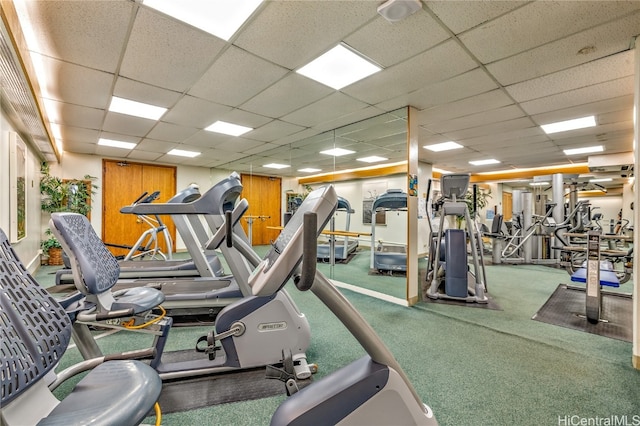 gym with a paneled ceiling and carpet flooring