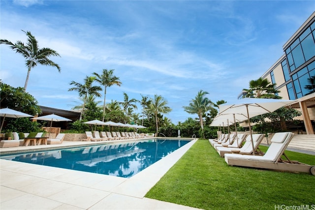 view of pool with a patio and a lawn