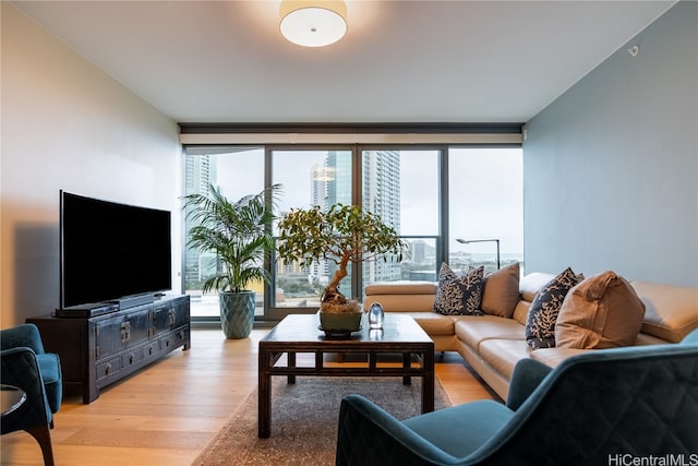 living room with light hardwood / wood-style flooring and plenty of natural light