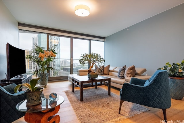 living room featuring light hardwood / wood-style floors