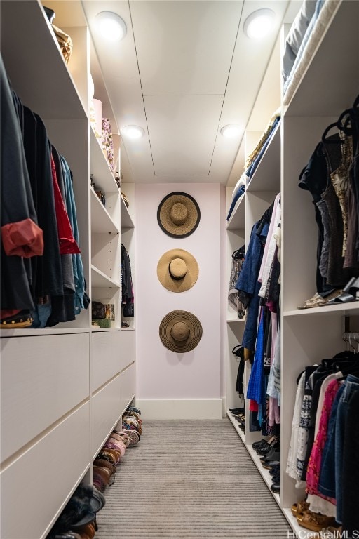 walk in closet featuring carpet floors