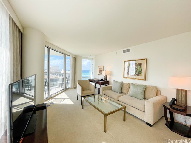 carpeted living room featuring a wall of windows