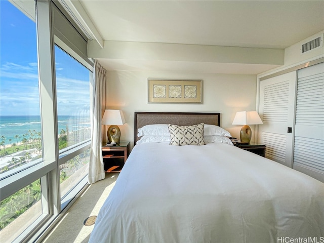 carpeted bedroom with a closet and a water view