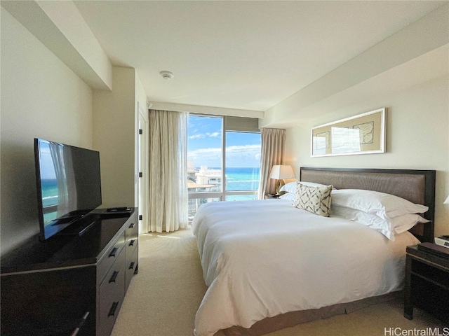 carpeted bedroom with a water view