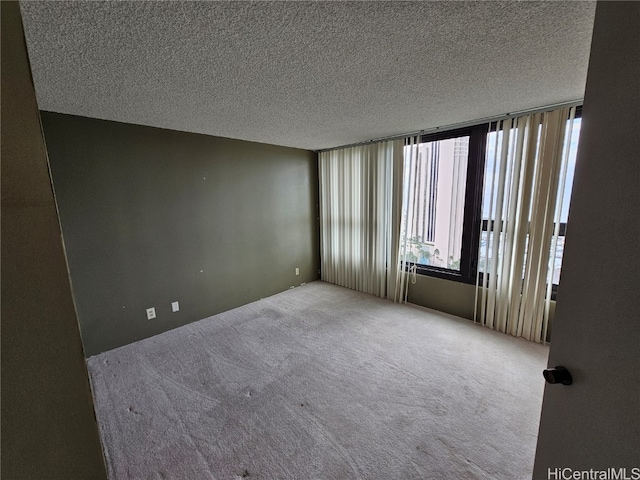 unfurnished room featuring a textured ceiling and carpet