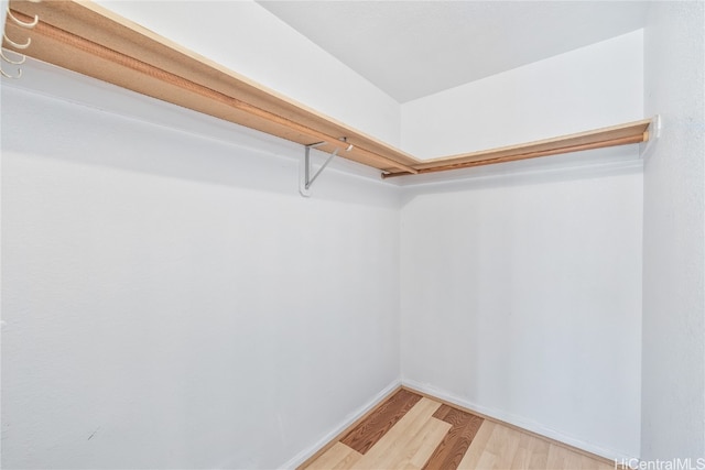 spacious closet featuring wood-type flooring