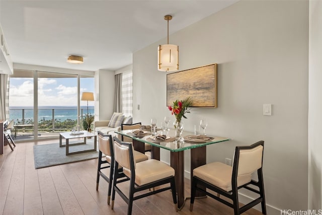 dining room with expansive windows and hardwood / wood-style flooring