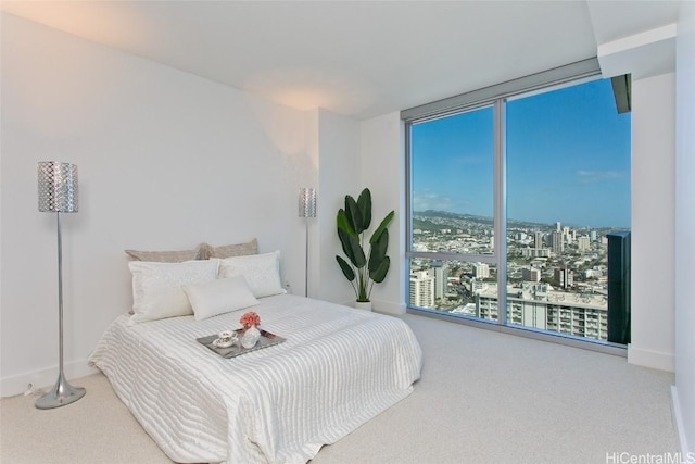 bedroom featuring carpet flooring