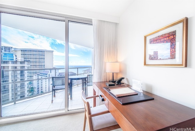 view of carpeted home office