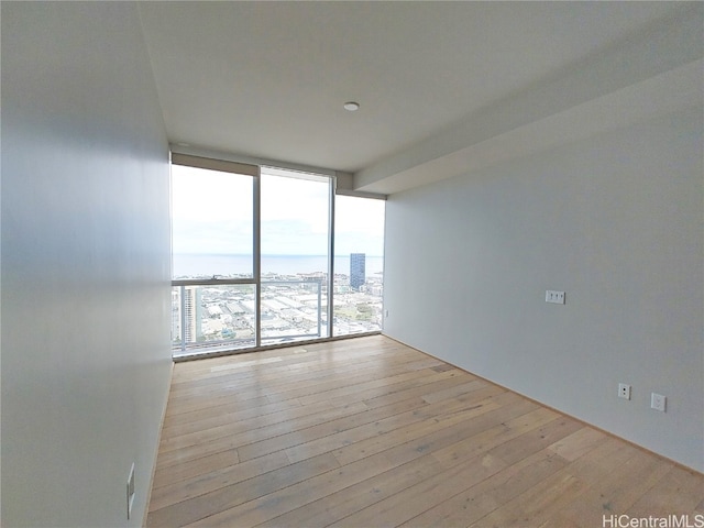 spare room featuring expansive windows and light wood-type flooring