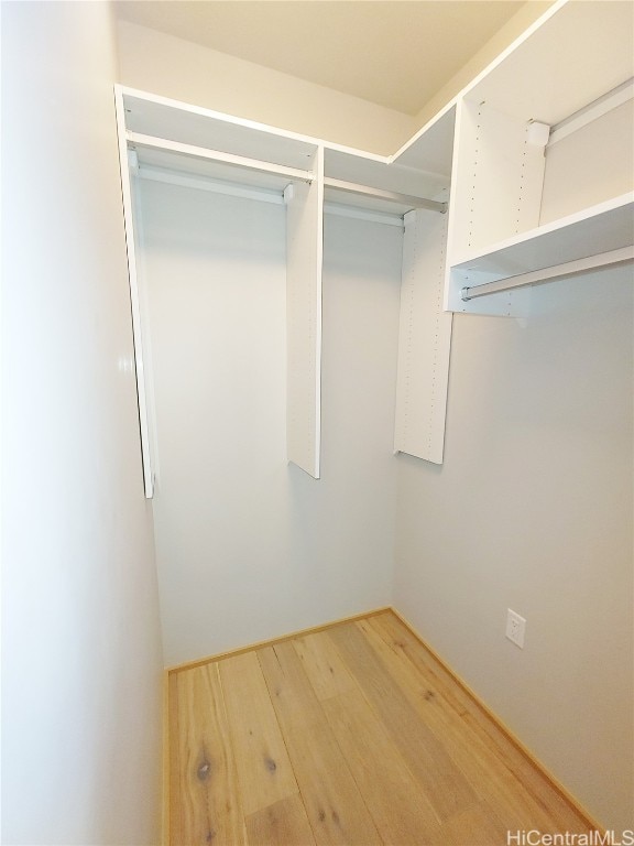 walk in closet with wood-type flooring