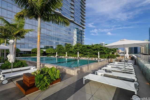 view of swimming pool with a patio