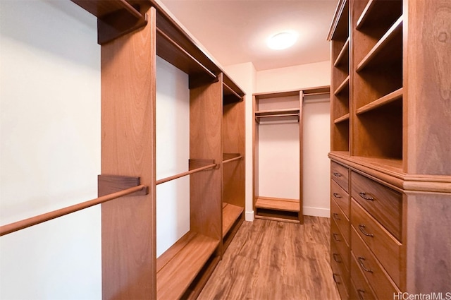 spacious closet with light wood-type flooring