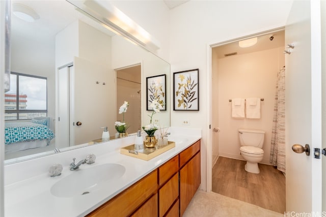 bathroom featuring toilet, vanity, and wood-type flooring