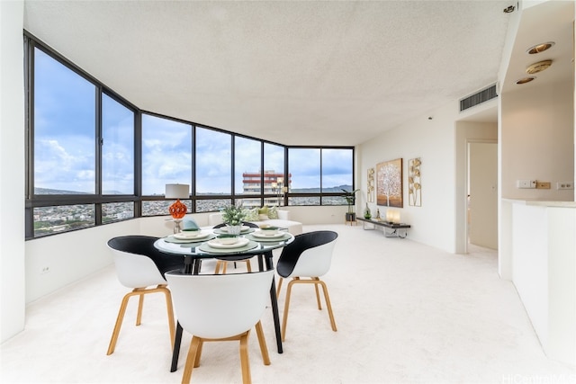 dining room featuring a textured ceiling, a healthy amount of sunlight, and light colored carpet