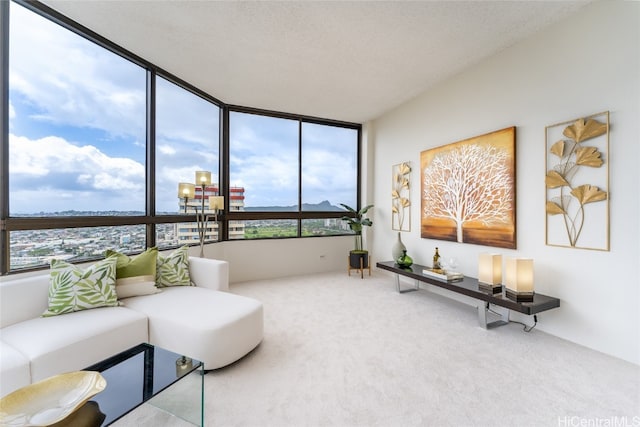 carpeted living room with a wall of windows and a textured ceiling