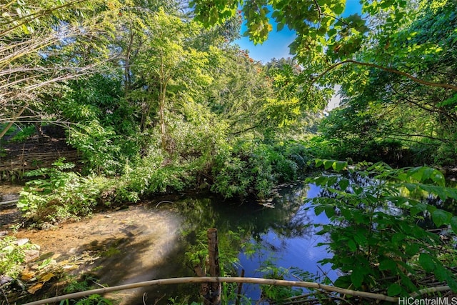 view of local wilderness featuring a water view