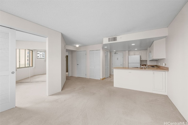 unfurnished living room featuring light carpet and a textured ceiling