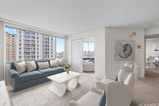 living room with a textured ceiling and light colored carpet