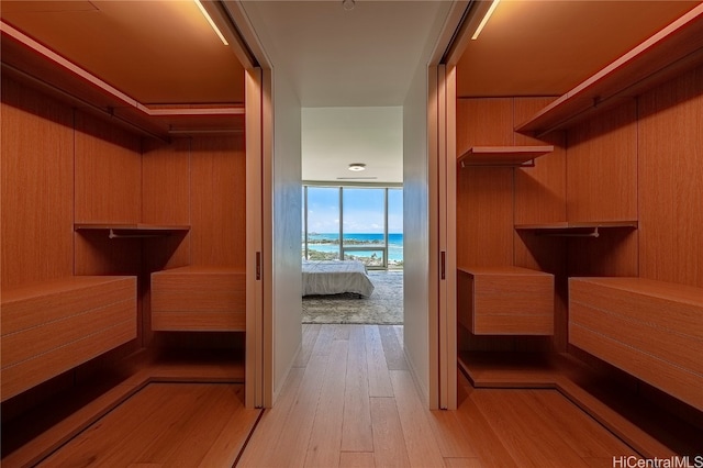 spacious closet with light wood-type flooring