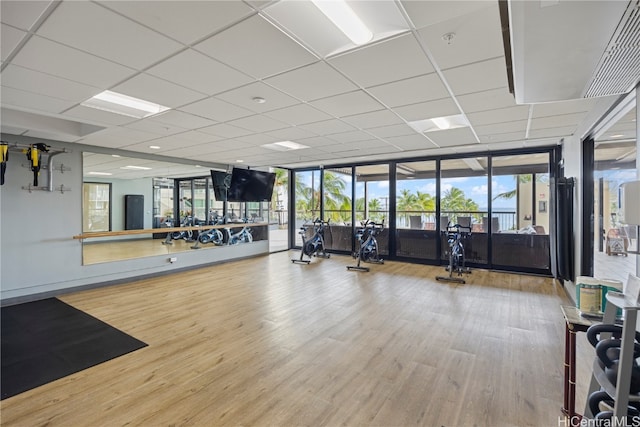 gym with expansive windows, a drop ceiling, and hardwood / wood-style flooring