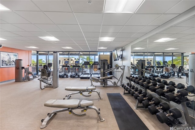 exercise room featuring carpet, expansive windows, and a drop ceiling