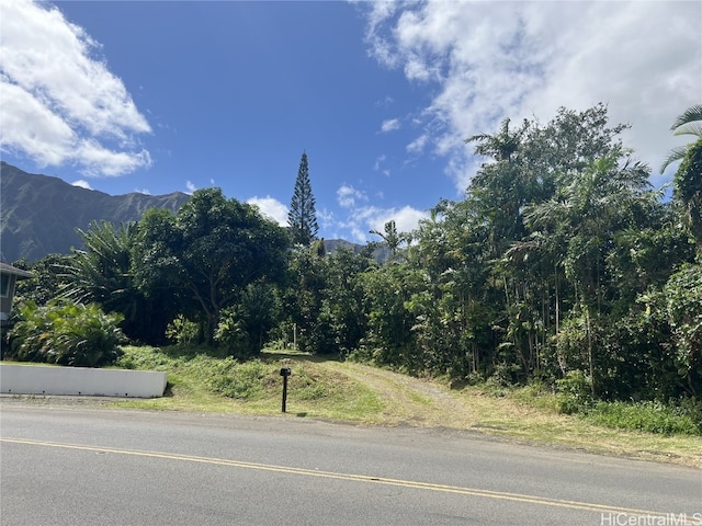 view of road with a mountain view