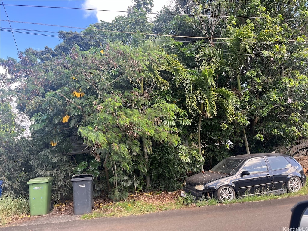 99-377 Uwau Dr, Aiea, HI 96701 - view of asphalt street