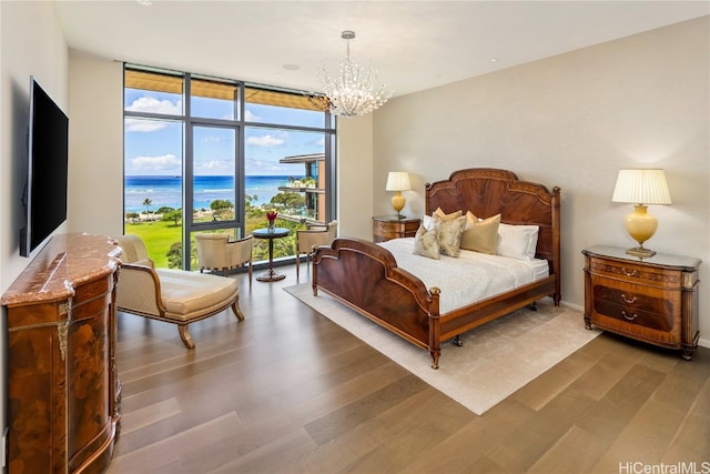 bedroom with multiple windows, hardwood / wood-style flooring, and floor to ceiling windows