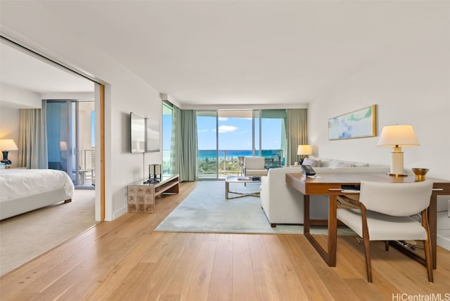 living room featuring light hardwood / wood-style floors and floor to ceiling windows