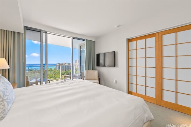 bedroom featuring a wall of windows, access to exterior, and carpet floors