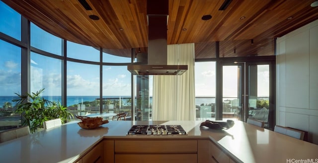 kitchen with island range hood, a wealth of natural light, stainless steel gas cooktop, and a water view