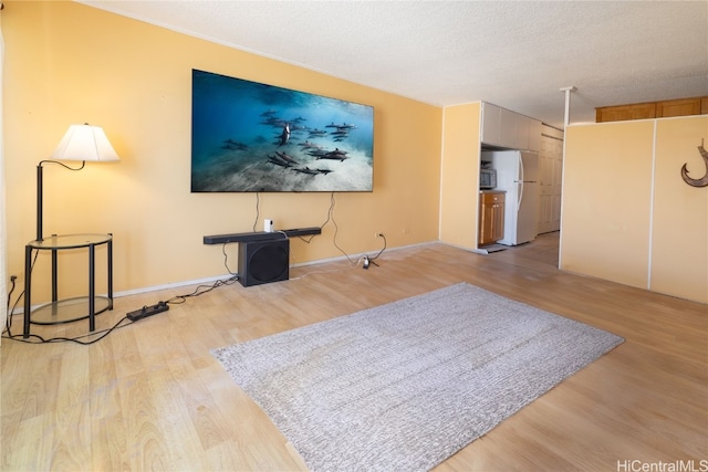 living room featuring light hardwood / wood-style floors and a textured ceiling