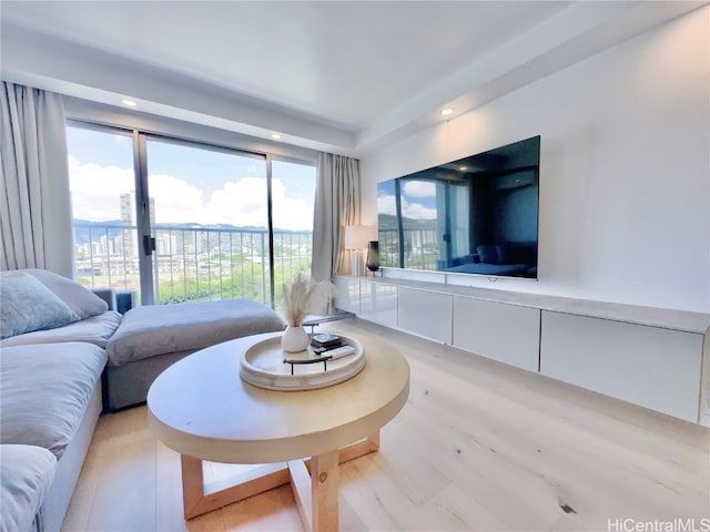 living room featuring light hardwood / wood-style flooring