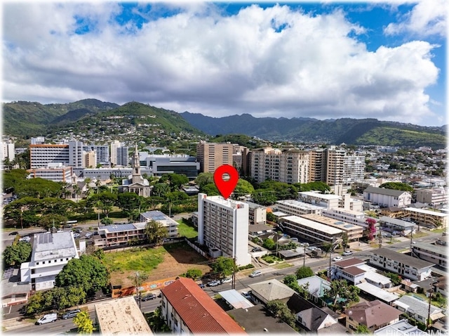 birds eye view of property featuring a mountain view