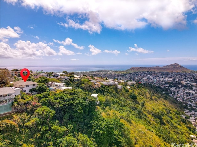 drone / aerial view featuring a mountain view