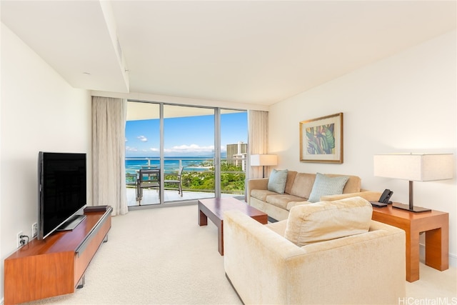 carpeted living room featuring expansive windows