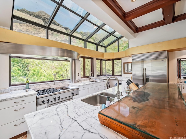 2999 Makalei Pl, Honolulu, HI 96815 - kitchen with appliances with stainless steel finishes, a sink, white cabinetry, light stone countertops, and a towering ceiling