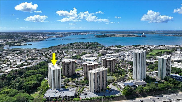 aerial view with a water view