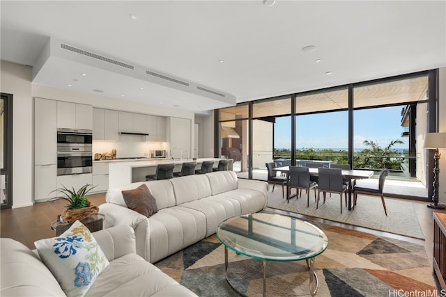 living room with light hardwood / wood-style floors, expansive windows, and sink