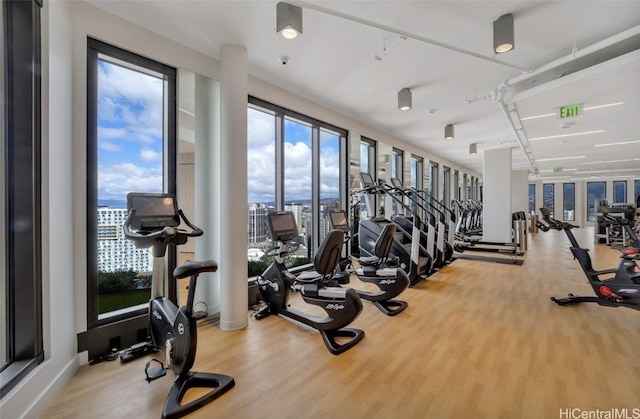 gym featuring hardwood / wood-style flooring